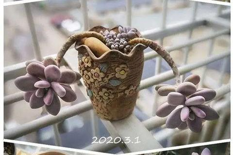 俊易数据应用实测，企业级数据管理工具的优势与探索
