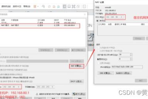域名能ping通却不能访问，原因分析与解决方案