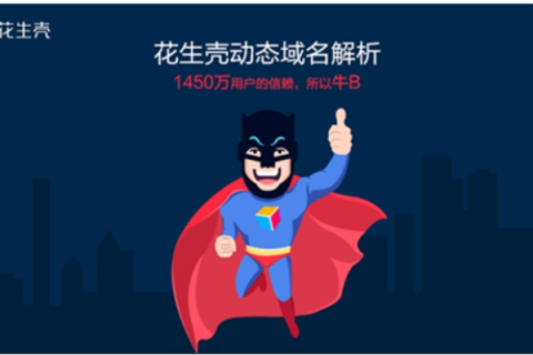 花生壳动态域名激活全攻略，轻松实现远程访问与管理的秘诀