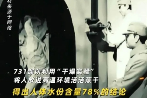 731互联曾是互联网行业的弄潮儿，辉煌与衰败的启示