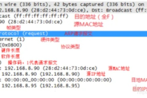 网络寻址，从域名到MAC地址的解析之旅