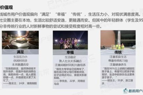 关于四六互联使用的真实体验与深度解读