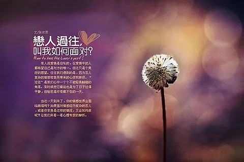 心缘网络—探索心灵的神秘之旅，你的灵魂栖息地