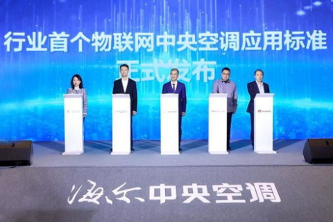 深入解析厦门维派科技，用户体验、技术创新与市场应用