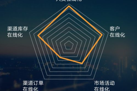 邵阳网络科技，揭秘一家企业的数字化转型之路