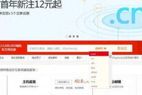 买了域名不会用怎么办？网站建设高手们谁来指点指点小弟？