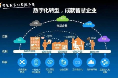 透视智通网络，企业数字化转型的加速器
