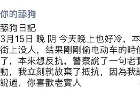 飞翔网络，穿越数字世界的翅膀，你体验过吗？