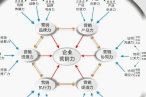 我与我要赢网络的争霸之路，一场数字时代的营销棋局