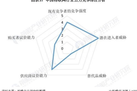 探索丹诚网络，用户体验、优势与挑战全面剖析