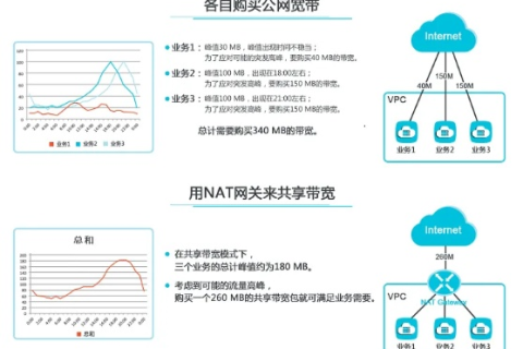 域名批量转换IP软件，提升网络管理效率的关键工具