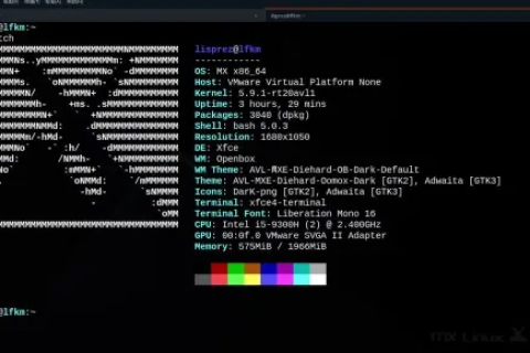ixwebhosting究竟是否值得一试？真实用户的深度评价与体验分享