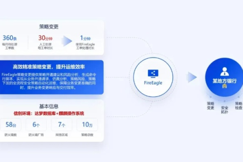 佰大网络体验报告，功能、服务及用户体验全面解析
