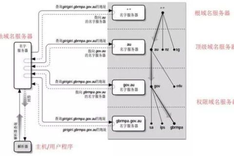 域名查询过程中根域DNS服务器的作用与解析流程