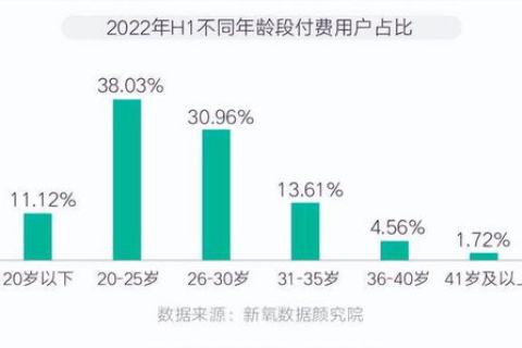 中文域名与国际化，探索中国用户的偏好与趋势