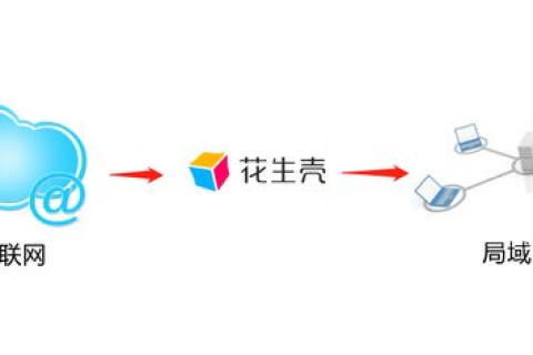 用花生壳申请了一个免费的动态域名，动态域名的妙用及使用方法详解