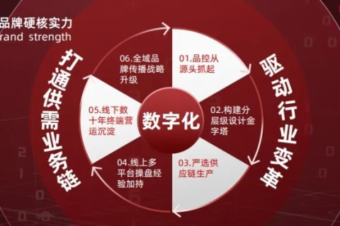 时尚域名，定义、价值及在数字时代的重要性