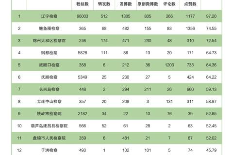探索辽宁互联网使用的实践与实际效应