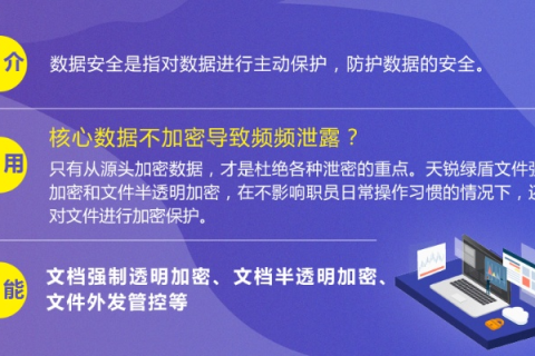银盾网站—安全守护的实战体验与深度剖析