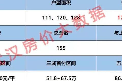 澜优科技，颠覆传统，引领未来的数字转型先锋