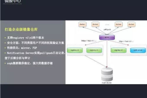 net域名做什么网站好，探索多元化应用场景