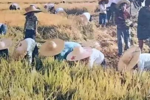 尚色网络，探索色彩斑斓的网络世界新体验