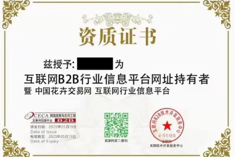 中国盟网，曾是资源分享的舞台，如今是否还有人使用？
