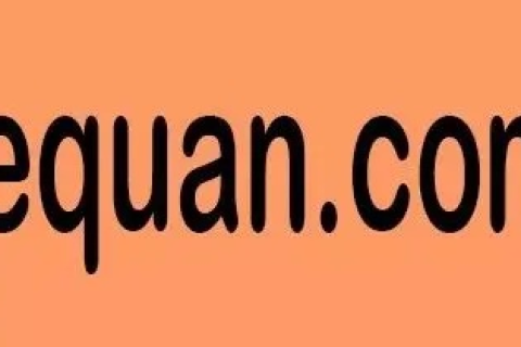 拼音全拼域名后面加s，互联网时代的文化现象与商业机遇