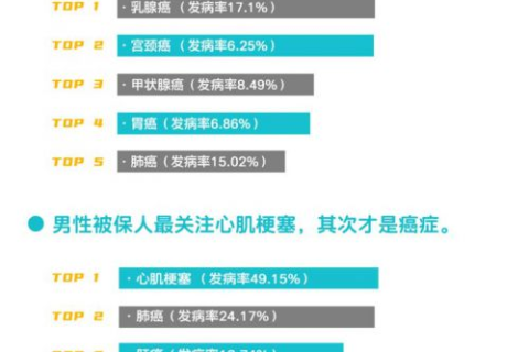 上海龙联的真实使用经验，揭秘其效能与用户体验