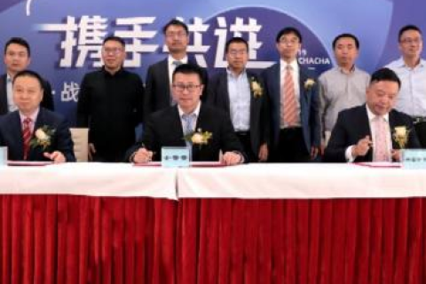 中国数网，网络经济时代下的数字资源整合与创新