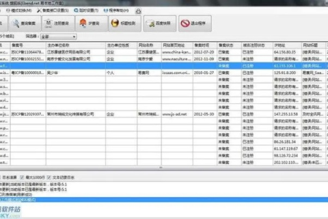 过期域名批量查询工具，高效、精准，助你抢占先机