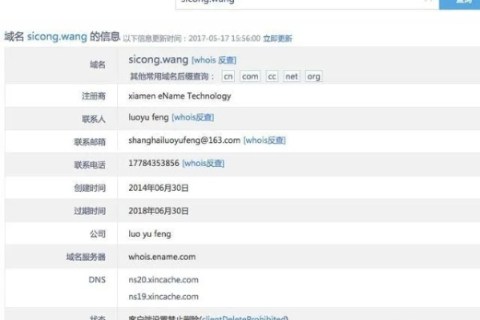 Co结尾的域名，探索独特魅力与未来趋势