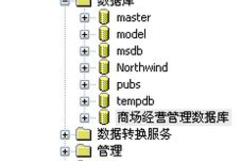 您输入的域名有误或站点访问失败，探索网络迷宫的奥秘与解决之道
