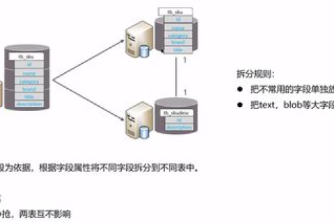 探索与分析，顶点主机的实战应用及优化