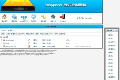 虚拟主机控制面板详解，功能、优势与选择指南