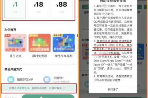 Co域名什么时候优惠续费？详解最佳时机与策略