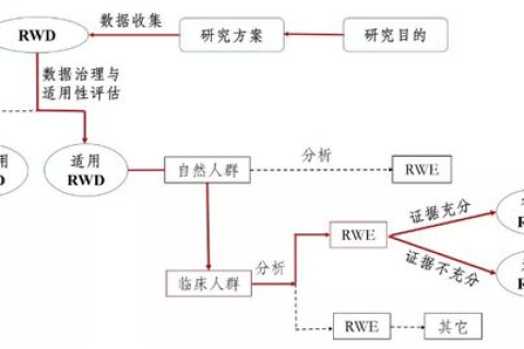 揭秘员跃科技，全流程初学者指南与用户真实使用反馈