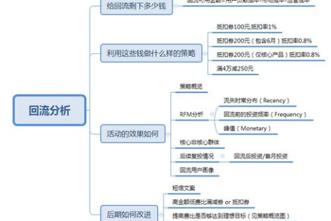探索星石科技的奇妙应用，用户经验分享与未来展望
