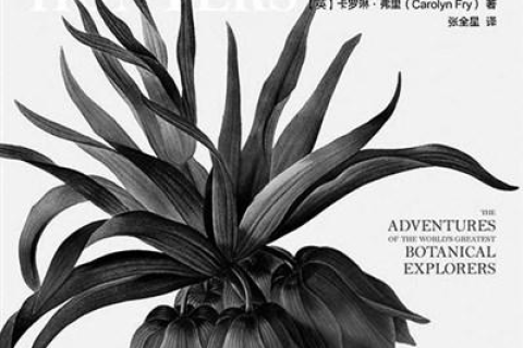 中国在亚洲的使用与影响，历史、现状及其全球视角下的角色
