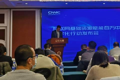 查询域名是否被注册，全面指南与策略