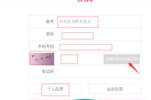 壳域名也申请了，为什么在内网和外网访问存在差异？