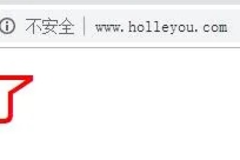 买了个域名弄了转向但为什么打开后浏览器显示的不是我买的域名？