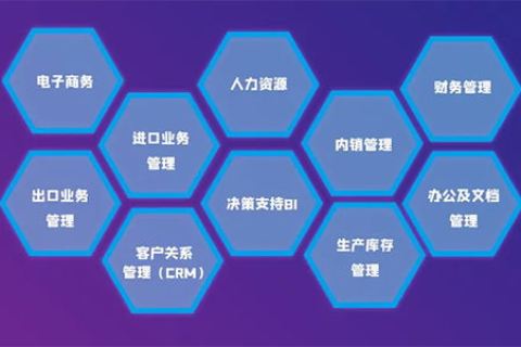 浩金网络，探寻企业数字化转型背后的秘密