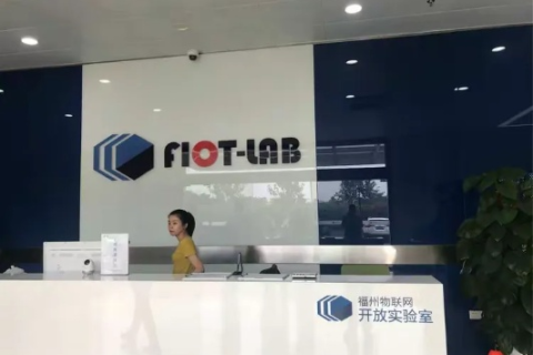 福建飞创网络，揭秘一家被低估的科技服务先锋