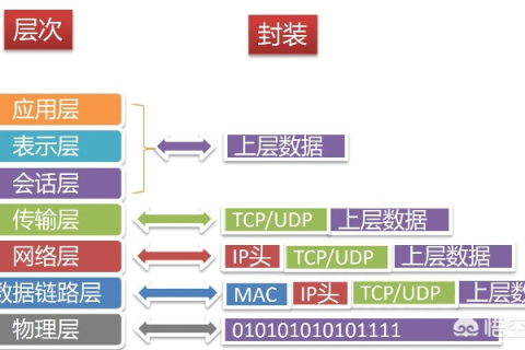 什么是2级域名？深入解析域名层级与互联网标识的构建