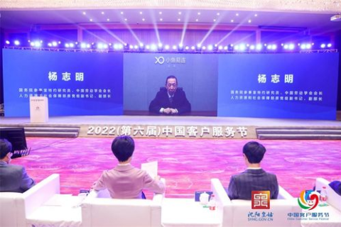 紫杉科技，创新与突破，数字经济时代的引领者