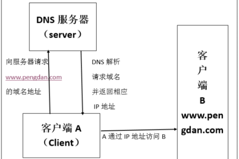 如何正确填写无线路由器域名服务器DNS地址及备用DNS