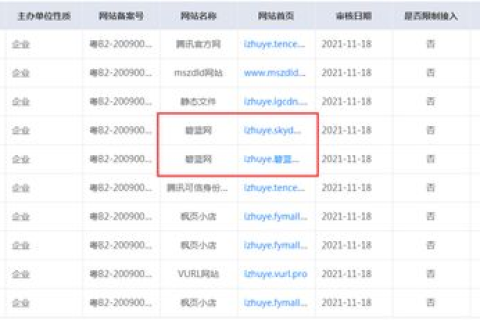 双域名备案未建站，潜在影响与应对策略
