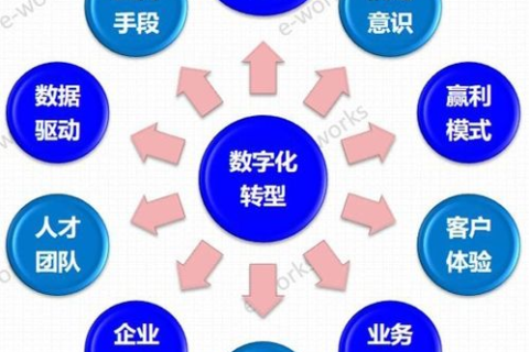 深度体验，达众网络在数字化转型中的实践与思考