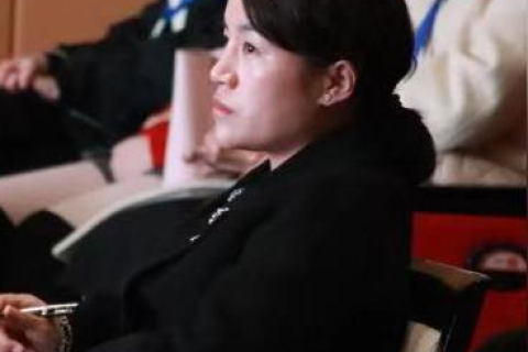 探索中国红网，一个数字时代下的传媒平台变迁与影响